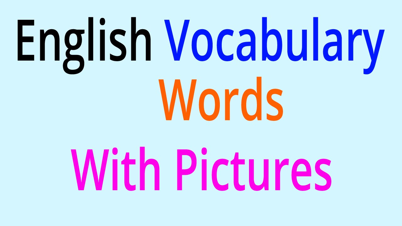 vocabulary-words-free-download-pdf-registryskiey